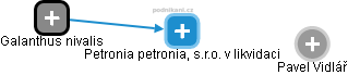Petronia petronia, s.r.o. v likvidaci - náhled vizuálního zobrazení vztahů obchodního rejstříku