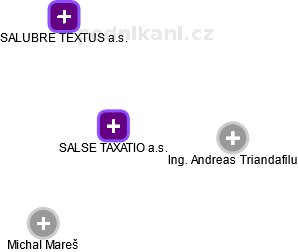 SALSE TAXATIO a.s. - náhled vizuálního zobrazení vztahů obchodního rejstříku