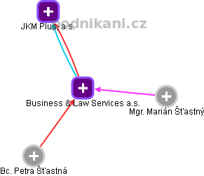 Business & Law Services a.s. - náhled vizuálního zobrazení vztahů obchodního rejstříku