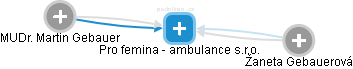 Pro femina - ambulance s.r.o. - náhled vizuálního zobrazení vztahů obchodního rejstříku