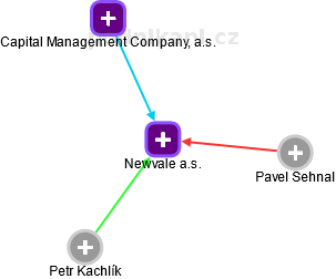 Newvale a.s. - náhled vizuálního zobrazení vztahů obchodního rejstříku