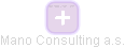 Mano Consulting a.s. - náhled vizuálního zobrazení vztahů obchodního rejstříku