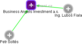 Business Angels Investment a.s. - náhled vizuálního zobrazení vztahů obchodního rejstříku