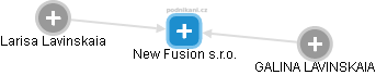 New Fusion s.r.o. - náhled vizuálního zobrazení vztahů obchodního rejstříku