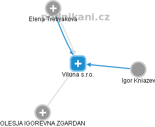 Viluna s.r.o. - náhled vizuálního zobrazení vztahů obchodního rejstříku