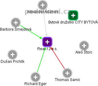 Real 12 a.s. - náhled vizuálního zobrazení vztahů obchodního rejstříku