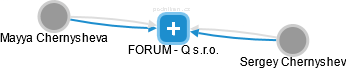FORUM - Q s.r.o. - náhled vizuálního zobrazení vztahů obchodního rejstříku