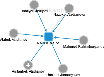 NAFISITA s.r.o. - náhled vizuálního zobrazení vztahů obchodního rejstříku