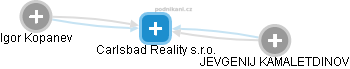 Carlsbad Reality s.r.o. - náhled vizuálního zobrazení vztahů obchodního rejstříku