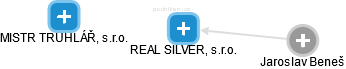 REAL SILVER, s.r.o. - náhled vizuálního zobrazení vztahů obchodního rejstříku