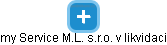 my Service M.L. s.r.o. v likvidaci - náhled vizuálního zobrazení vztahů obchodního rejstříku