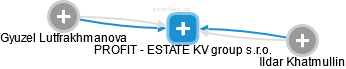 PROFIT - ESTATE KV group s.r.o. - náhled vizuálního zobrazení vztahů obchodního rejstříku