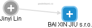 BAI XIN JIU s.r.o. - náhled vizuálního zobrazení vztahů obchodního rejstříku