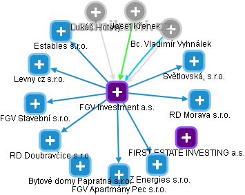 FGV Investment a.s. - náhled vizuálního zobrazení vztahů obchodního rejstříku