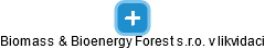 Biomass & Bioenergy Forest s.r.o. v likvidaci - náhled vizuálního zobrazení vztahů obchodního rejstříku