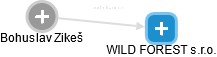 WILD FOREST s.r.o. - náhled vizuálního zobrazení vztahů obchodního rejstříku