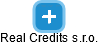 Real Credits s.r.o. - náhled vizuálního zobrazení vztahů obchodního rejstříku