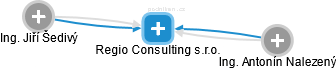 Regio Consulting s.r.o. - náhled vizuálního zobrazení vztahů obchodního rejstříku