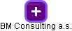 BM Consulting a.s. - náhled vizuálního zobrazení vztahů obchodního rejstříku