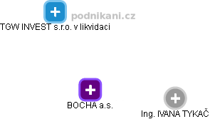 BOCHA a.s. - náhled vizuálního zobrazení vztahů obchodního rejstříku