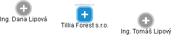 Tillia Forest s.r.o. - náhled vizuálního zobrazení vztahů obchodního rejstříku