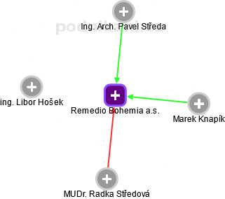 Remedio Bohemia a.s. - náhled vizuálního zobrazení vztahů obchodního rejstříku