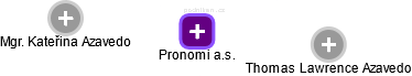 Pronomi a.s. - náhled vizuálního zobrazení vztahů obchodního rejstříku