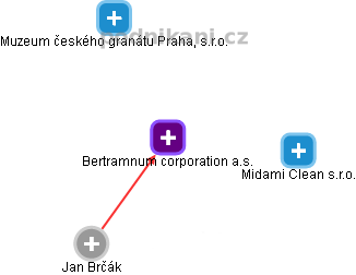 Bertramnum corporation a.s. - náhled vizuálního zobrazení vztahů obchodního rejstříku