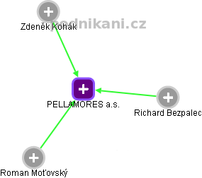 PELLAMORES a.s. - náhled vizuálního zobrazení vztahů obchodního rejstříku