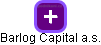 Barlog Capital a.s. - náhled vizuálního zobrazení vztahů obchodního rejstříku