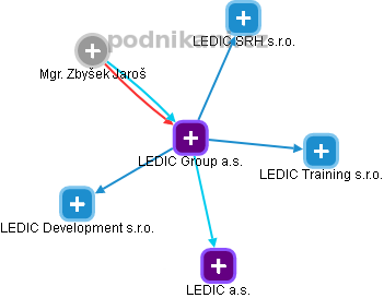 LEDIC Group a.s. - náhled vizuálního zobrazení vztahů obchodního rejstříku