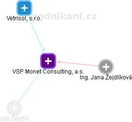 VSP Monet Consulting, a.s. - náhled vizuálního zobrazení vztahů obchodního rejstříku