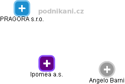 Ipomea a.s. - náhled vizuálního zobrazení vztahů obchodního rejstříku