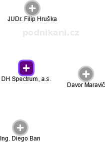DH Spectrum, a.s. - náhled vizuálního zobrazení vztahů obchodního rejstříku