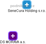 DS MORAVA a.s. - náhled vizuálního zobrazení vztahů obchodního rejstříku