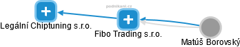 Fibo Trading s.r.o. - náhled vizuálního zobrazení vztahů obchodního rejstříku
