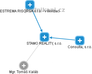STAMO REALITY, s.r.o. - náhled vizuálního zobrazení vztahů obchodního rejstříku