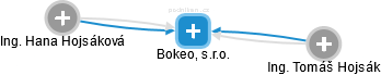 Bokeo, s.r.o. - náhled vizuálního zobrazení vztahů obchodního rejstříku