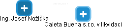 Caleta Buena s.r.o. v likvidaci - náhled vizuálního zobrazení vztahů obchodního rejstříku