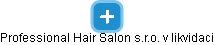 Professional Hair Salon  s.r.o. v likvidaci - náhled vizuálního zobrazení vztahů obchodního rejstříku