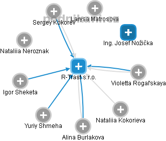 R-Trast s.r.o. - náhled vizuálního zobrazení vztahů obchodního rejstříku
