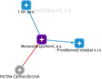 Moravská sportovní, a.s. - náhled vizuálního zobrazení vztahů obchodního rejstříku