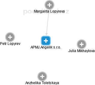 APMJ.Angelik s.r.o. - náhled vizuálního zobrazení vztahů obchodního rejstříku