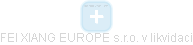FEI XIANG EUROPE s.r.o. v  likvidaci - náhled vizuálního zobrazení vztahů obchodního rejstříku