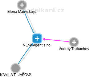 NEVA Agent s.r.o. - náhled vizuálního zobrazení vztahů obchodního rejstříku