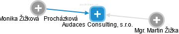 Audaces Consulting, s.r.o. - náhled vizuálního zobrazení vztahů obchodního rejstříku