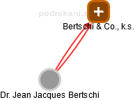 Bertschi & Co., k.s. - náhled vizuálního zobrazení vztahů obchodního rejstříku