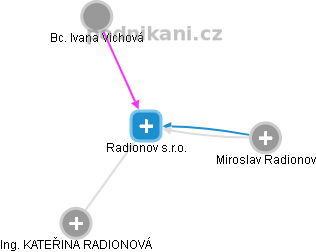 Radionov s.r.o. - náhled vizuálního zobrazení vztahů obchodního rejstříku