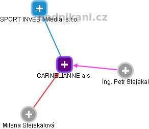 CARNELIANNE a.s. - náhled vizuálního zobrazení vztahů obchodního rejstříku