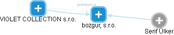 bozgur, s.r.o. - náhled vizuálního zobrazení vztahů obchodního rejstříku